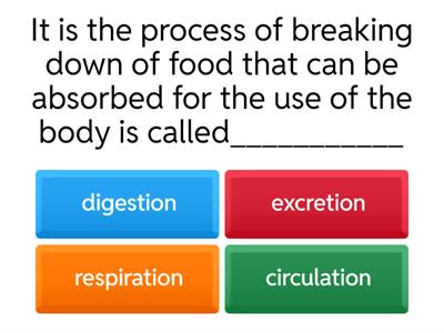 Parts of the Digestive System