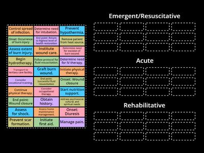 Interventions in Various Stages of Burn Injury 