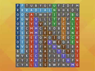 Principles of Design