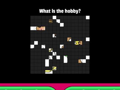 Hobbies Image Quiz