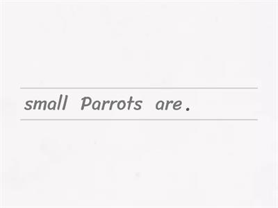 Jungle animals / sentences