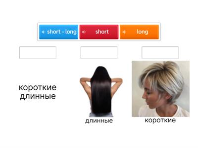 7 класс ПА 2025