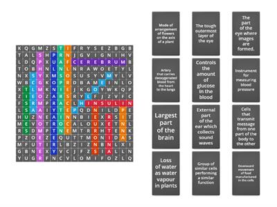 Biology- Wordsearch