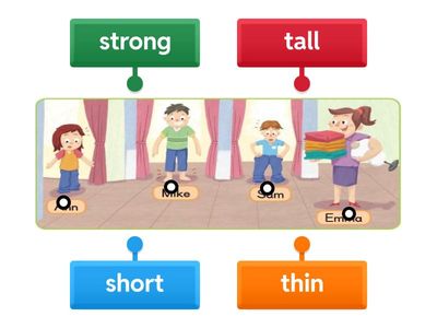 I'm tall. Vocabulary Practice 單字練習