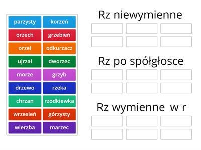 Pisownia wyrazów z rz