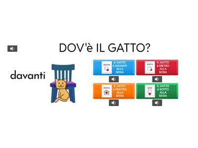 DOV'è IL GATTO?