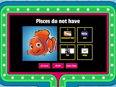 The Animal Classification Game Show