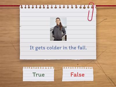 Fall True or False