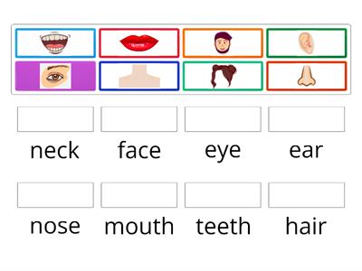 Face parts