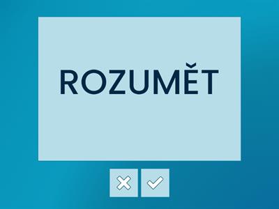  Verbs - 8. grade - II.