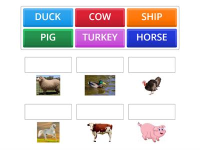 1grade science farm animals