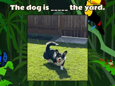 Prepositions of Place "at, in, on" Flying Fruit