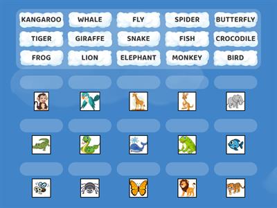 ANIMALS WW