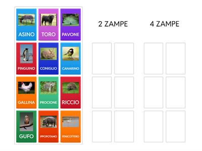 accoppia: ANIMALI e  ZAMPE.