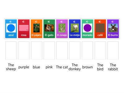 Colors Animals Español / English