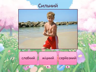  Українська мова. Антоніми