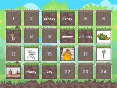 <ey> for /ee/ Sound Matching Pairs