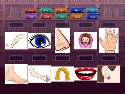 Body YLE for Starters