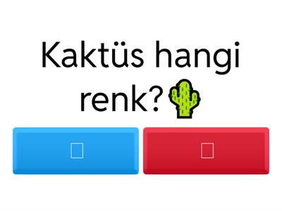 Okul Öncesi Renkler Testi 