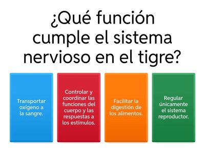 Sistema nervioso del tigre