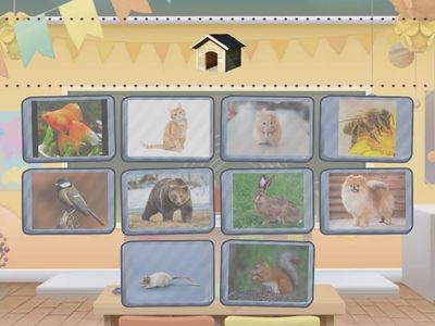 Подбери пару 