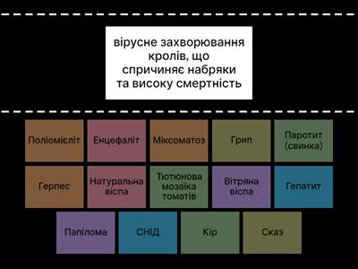 Вірусні захворювання