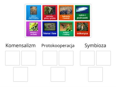 Zależności nieantagonistyczne 3