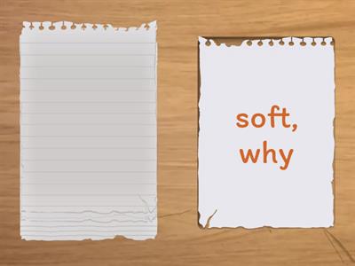 Regular Word/Irregular Word Game