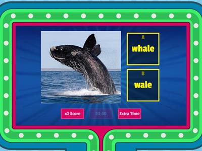 Phonics L4T1 Lesson 9 – g saying j  （WH or W? ）