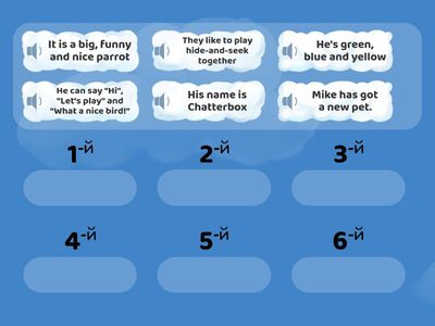 Miroslava. Mike's parrot 