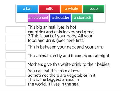 MOVERS READING / WRITING 02