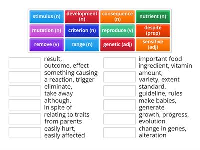 ESL 28 Chapter 10 Flashcards B