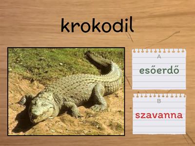 ESŐERDŐ-SZAVANNA 