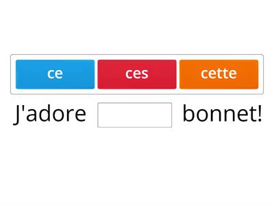 J'adore ce/cette/ces... 