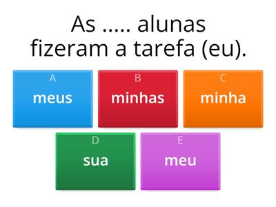 Pronomes possessivos