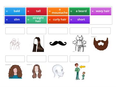 How does he/she look like?