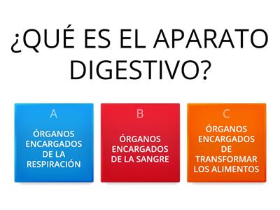 ¿Qué aprendimos del sistema digestivo?