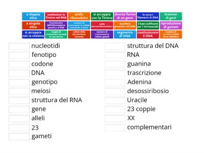 DNA