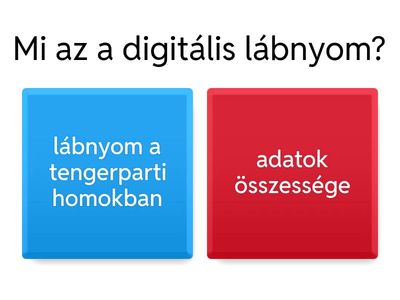 digitális lábnyom