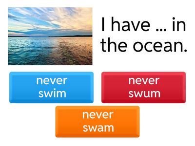 Never / Ever - Present Perfect 