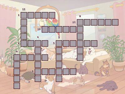 sk sc spr str spl squ