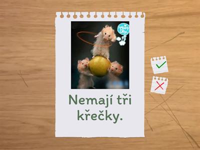 Pets - plural + have got + numbers 1-10