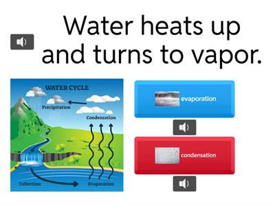 Water Cycle Quiz