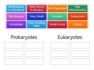 Prokaryote vs Eukaryote