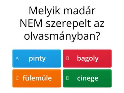 Mesél a nyári erdő