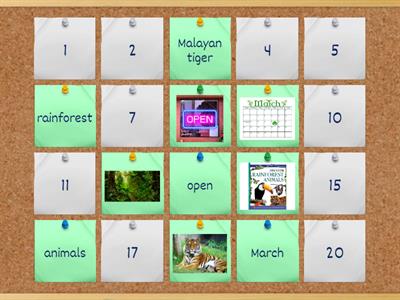 Rainforest Wild Asia