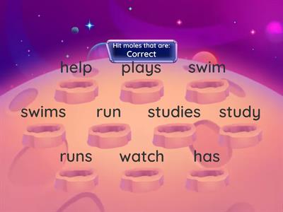 3rd. Person Singular Verbs