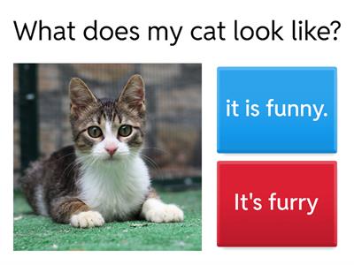 What does it look like?