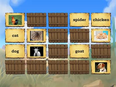 Be Curious 2 - Unit 3 - Animals Vocabulary