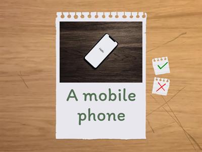 Grammar goals unit 9